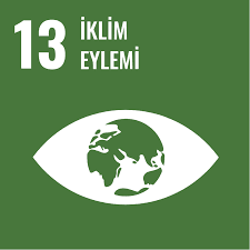 BM Sürdürülebilir Kalkınma Amacı 13: İklim eylemi